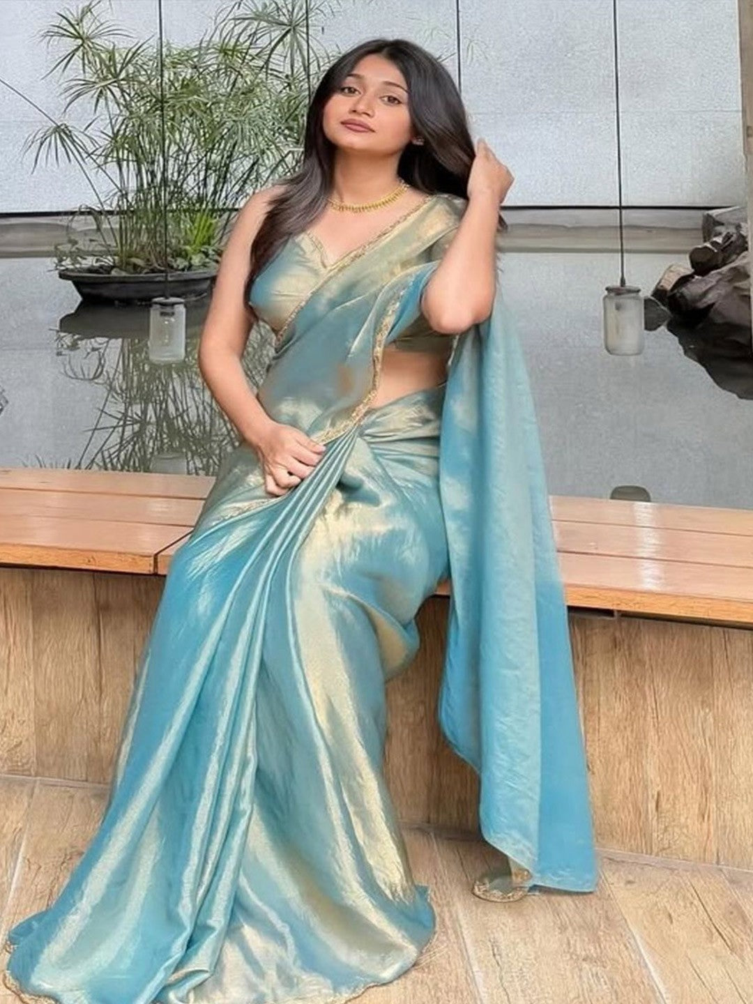 Tissue Embroidered Border Saree